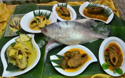 Hilsa Festival Sundarban Tour2 Night / 3 Days
