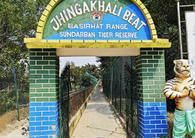 Jhingakhali Beat